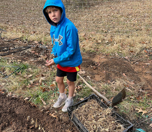 Planting tuberoses  tuberose bulbs for sale